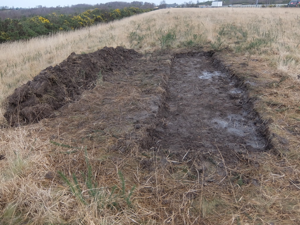Ground clearance for rare plants and invertebrates by mattjcuk