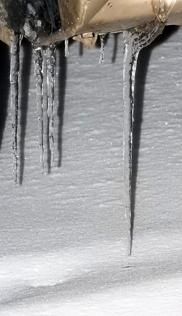 icicles by homeschoolmom