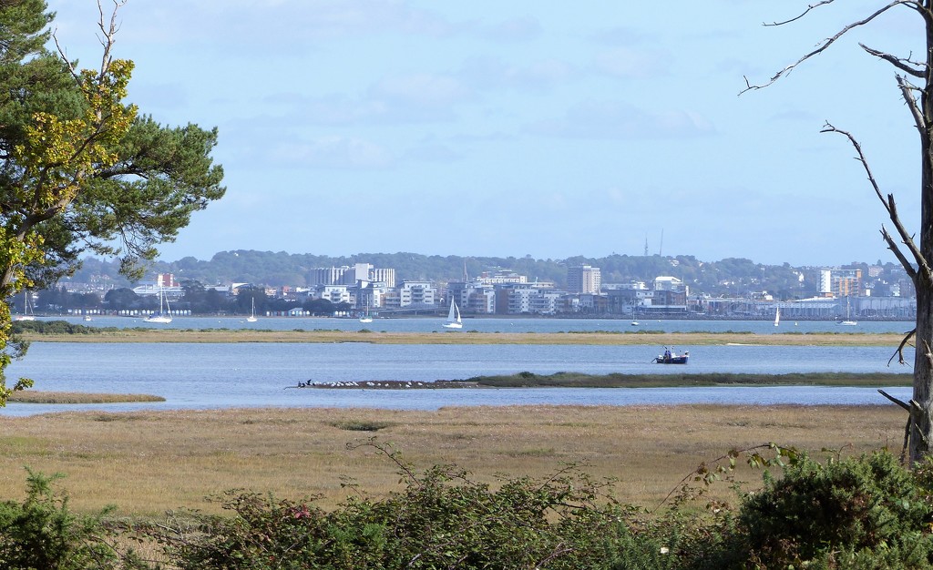  View of Poole from Arne RSPB Reserve by susiemc