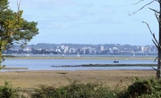4th Oct 2017 -  View of Poole from Arne RSPB Reserve