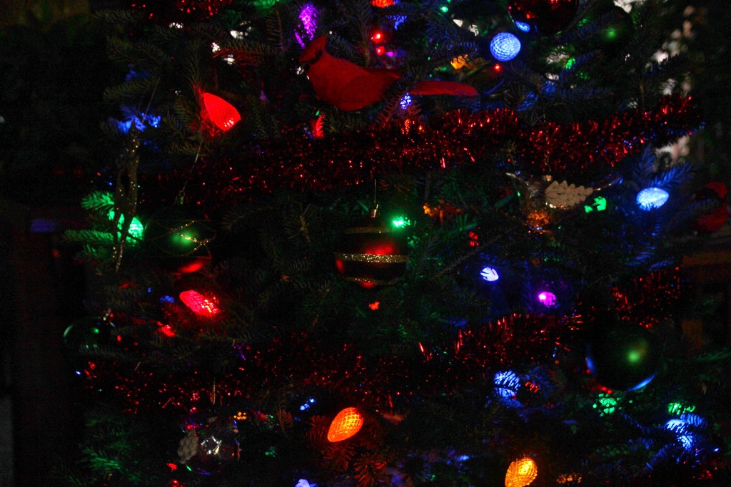 Christmas Tree Lights by bjchipman