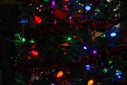 22nd Dec 2017 - Christmas Tree Lights