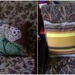 New Cushions by mozette
