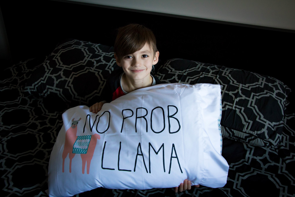 No Prob-Llama by bokehdot
