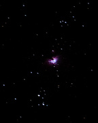 4th Jan 2018 - Orion Nebula Portrait 3