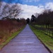 The Path Ahead - Lensbaby Sweet35 by bizziebeeme
