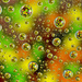 Skittles Through Water Drops by gaylewood