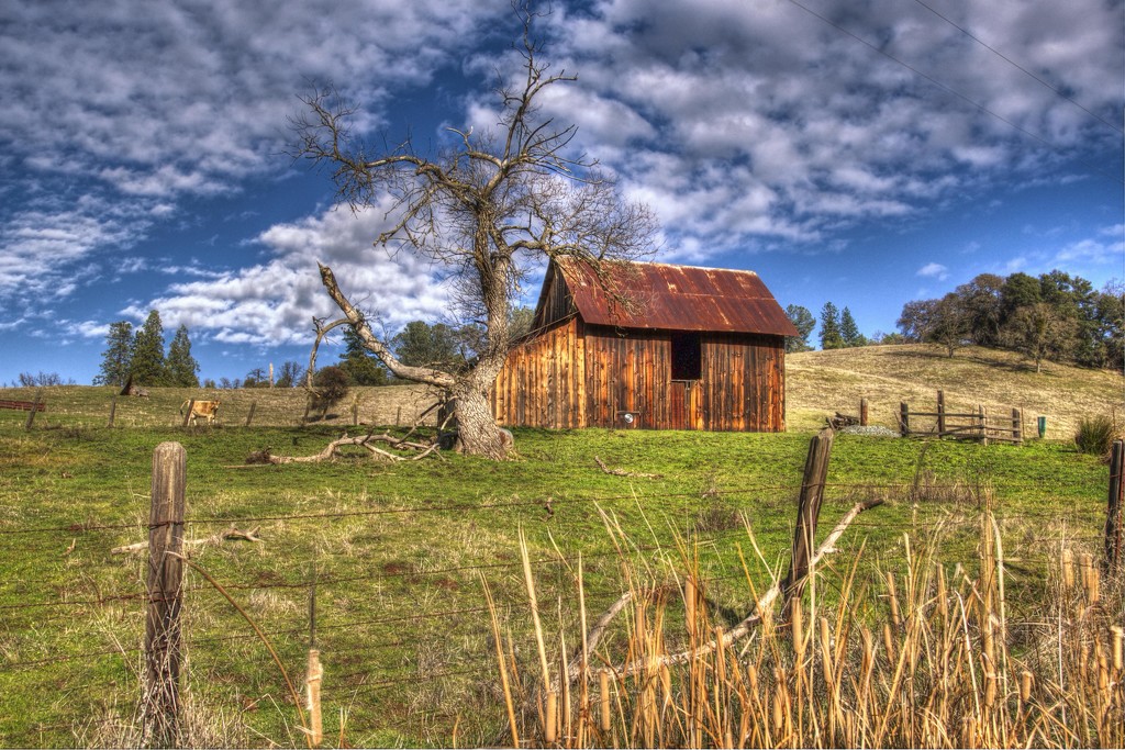 Country Barn  by joysfocus