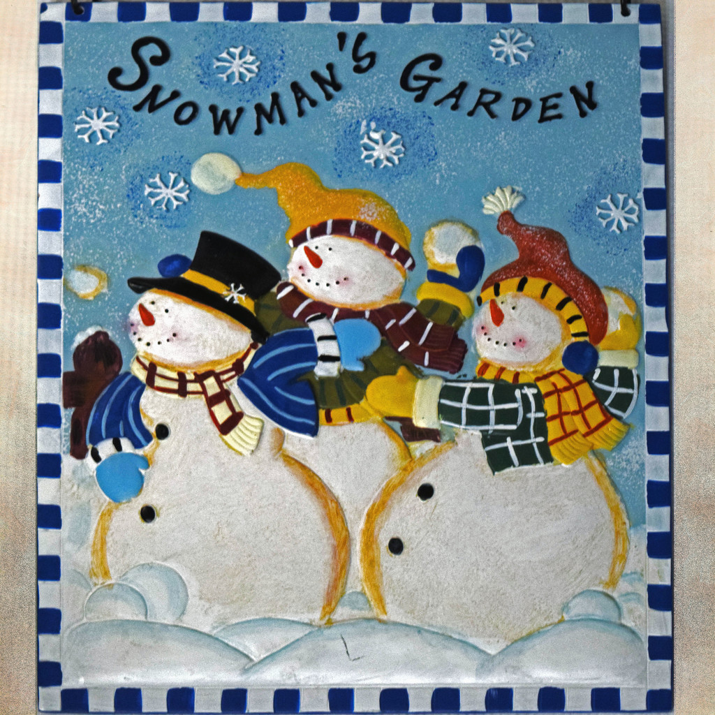 Snowman's Garden by dsp2
