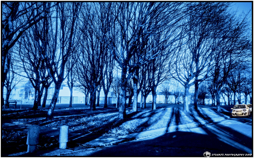 Winter blues by stuart46