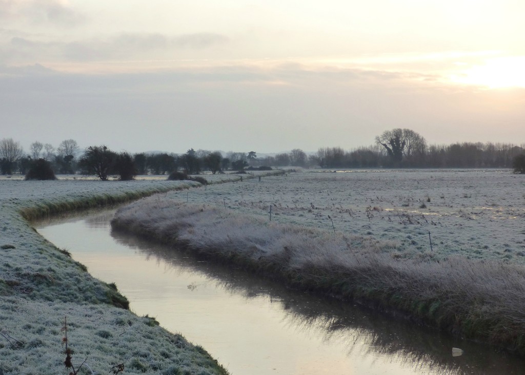 Frosty morning on the Levels by julienne1