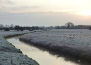 6th Jan 2018 - Frosty morning on the Levels