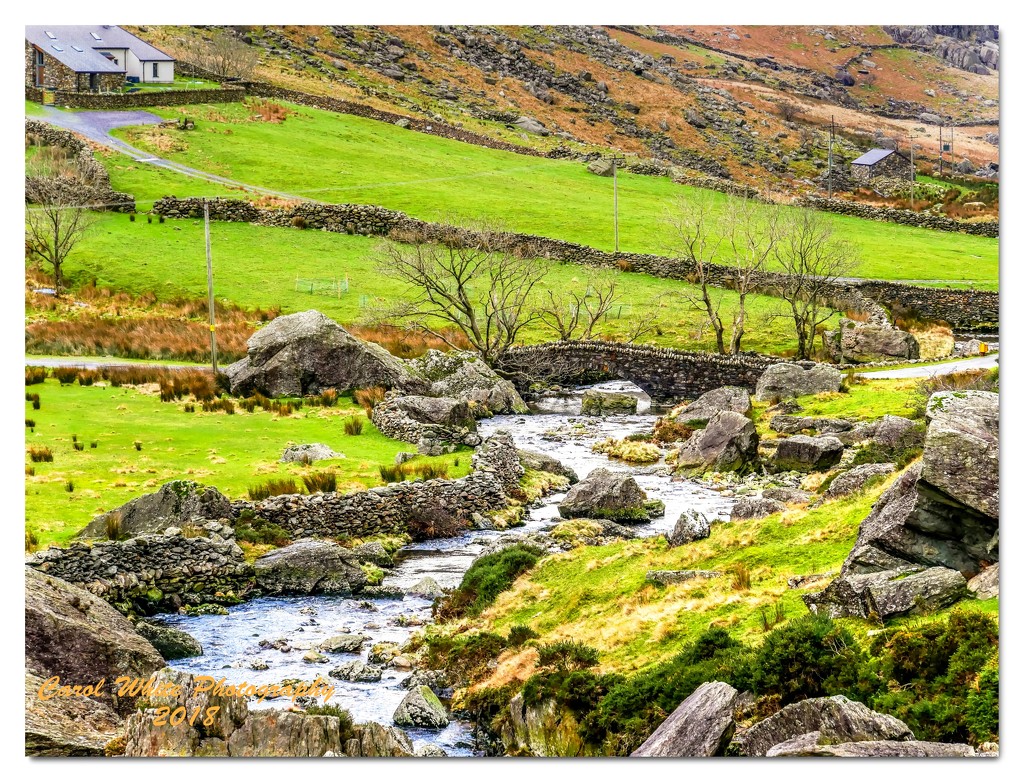 Mountain Stream,Snowdonia,Wales by carolmw