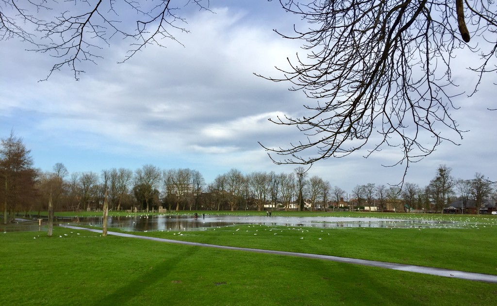 Flooded Park by gillian1912