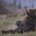 Bear Meditating In the Snow by jgpittenger