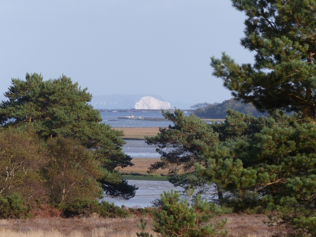 View from Arne Reserve in Dorset by susiemc