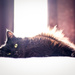 Dusty Cat by vera365