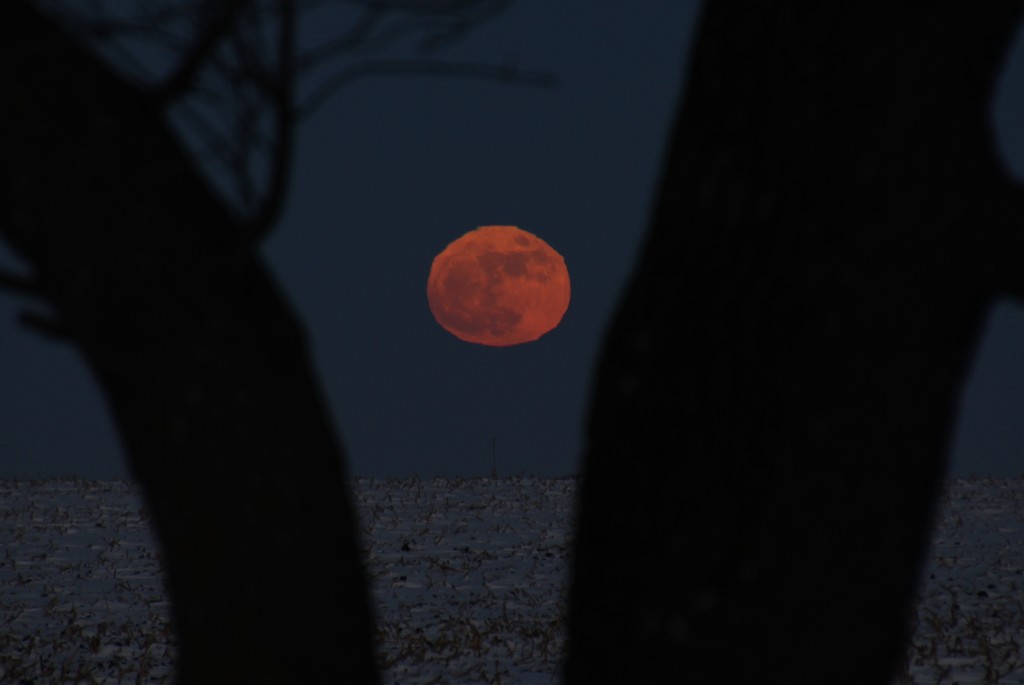New Year's Day Supermoon by bjchipman