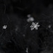 Snowflake by aschweik