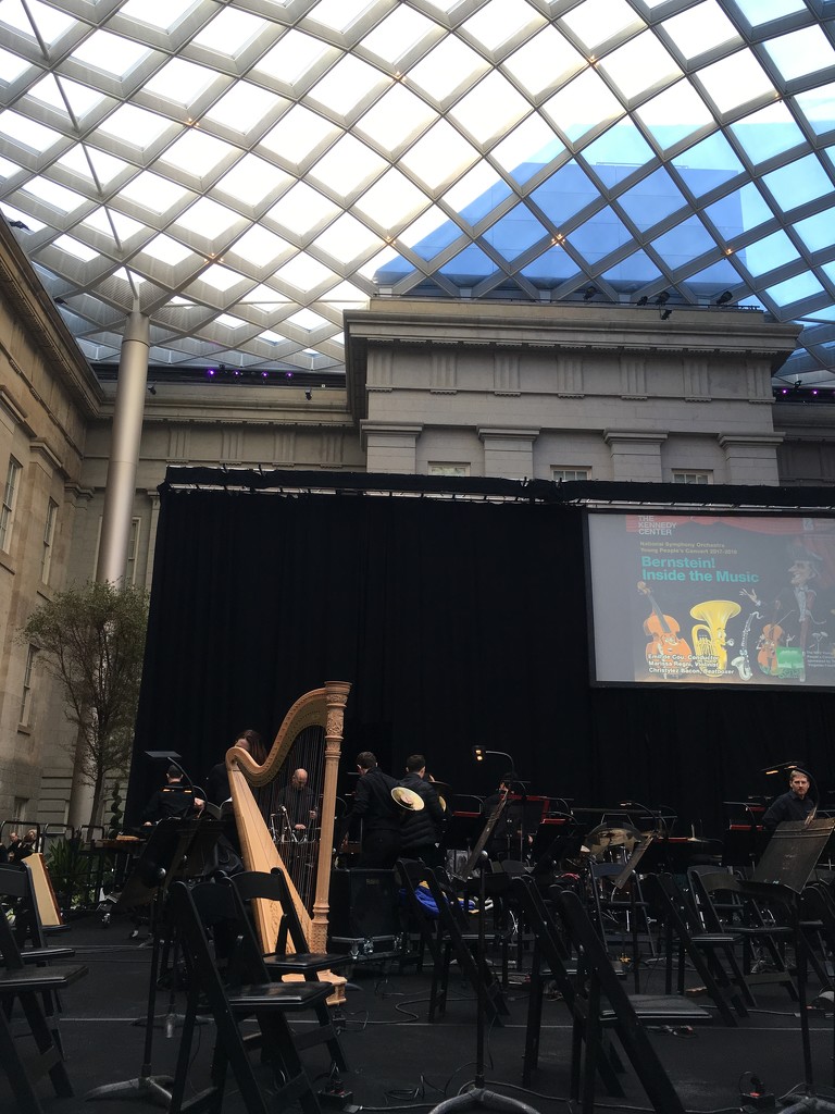 national symphony orchestra at the portrait gallery by wiesnerbeth