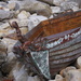 Rusty Boat by positive_energy