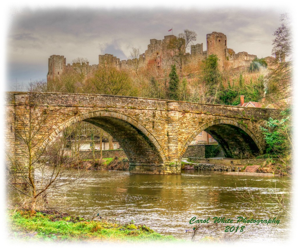 The Old Bridge And Ludlow Castle by carolmw
