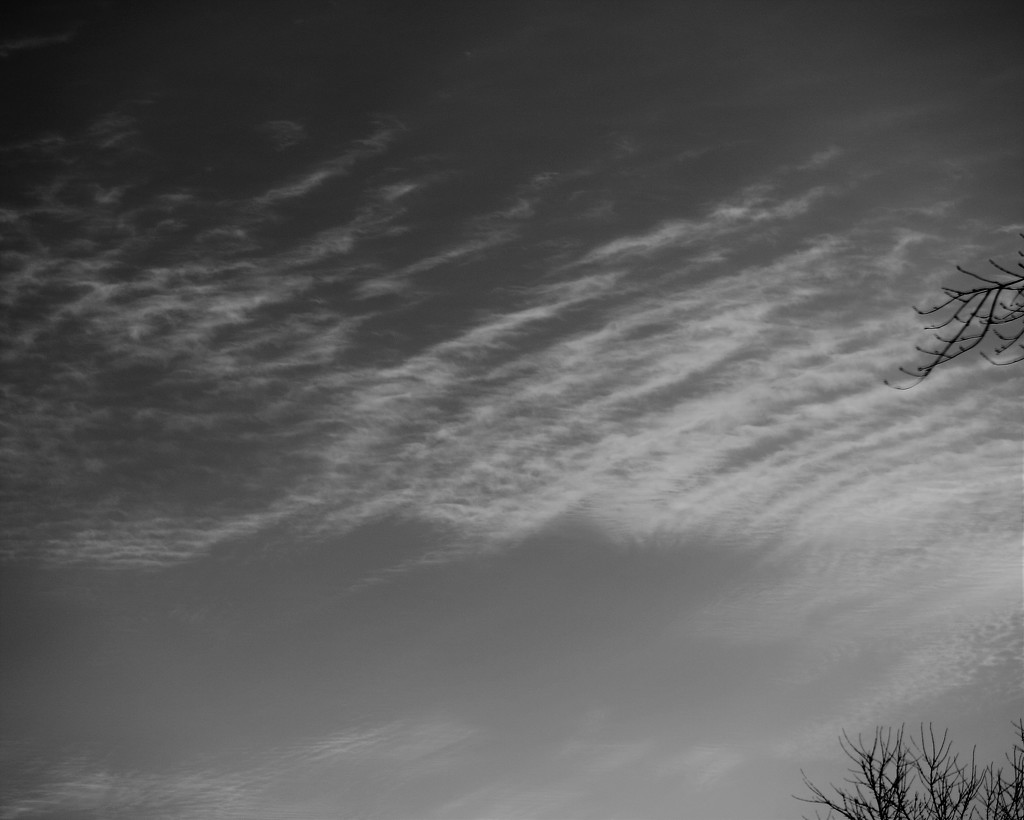 Morning Skies in BW by daisymiller