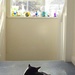 A cat always finds the warmest spot... by filsie65