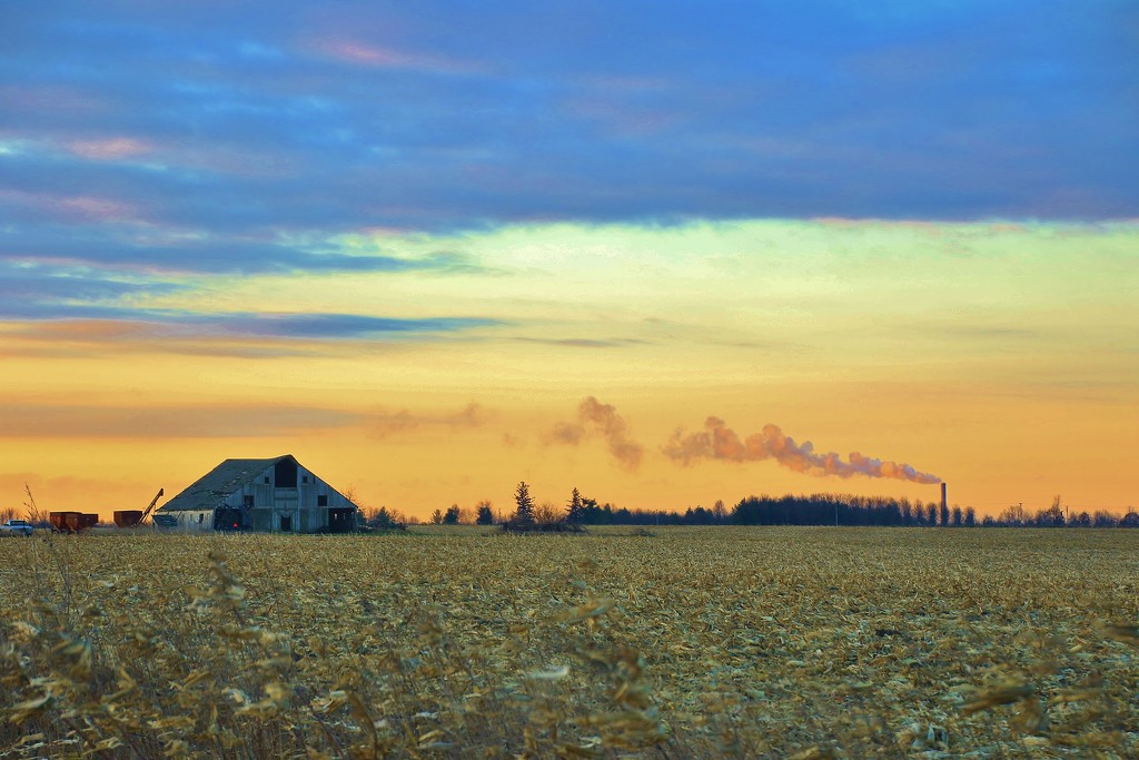 Flat Farmland by lynnz