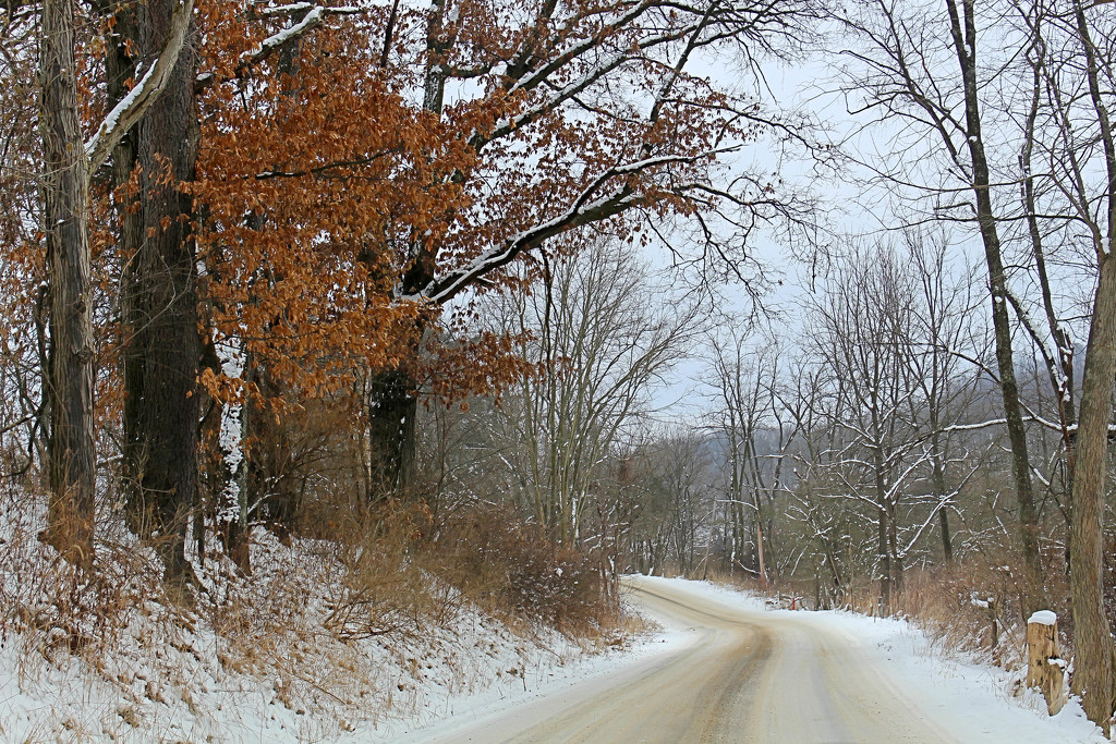 Snowy road by mittens