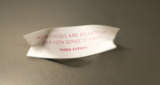 8th Jan 2018 - Fortune out of a fortune cookie