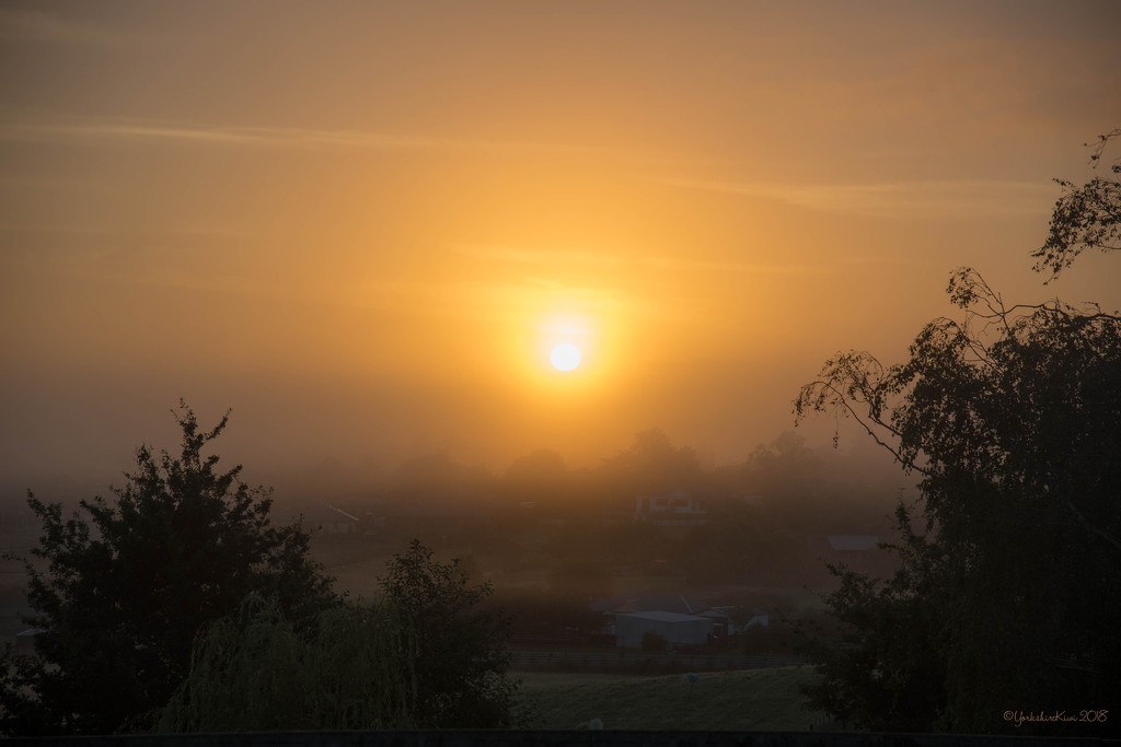Sun Rising Through the Mist by yorkshirekiwi