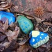 Last summer's painted rocks by tunia