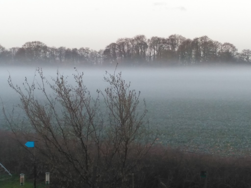 A misty morning by jmdspeedy