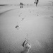Footprints by newbank