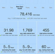 6th Jan 2011 - The first week - fitbit recording.