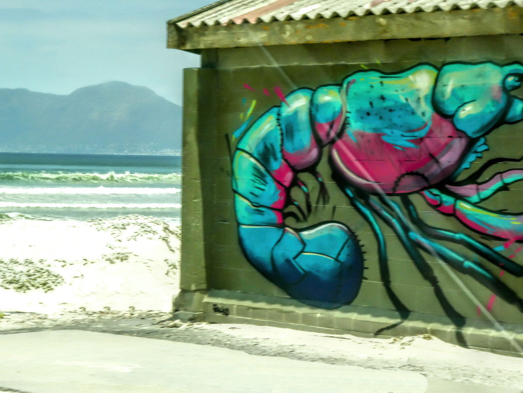 Another drive by Graffiti ....... by ludwigsdiana