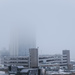 Fog by vera365