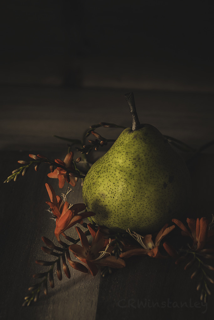 Pear and Petals by kipper1951