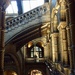 Natural History Museum by gillian1912