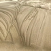 Sand Dune Patterns  by jgpittenger
