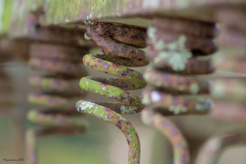 Rusty old springs by yorkshirekiwi