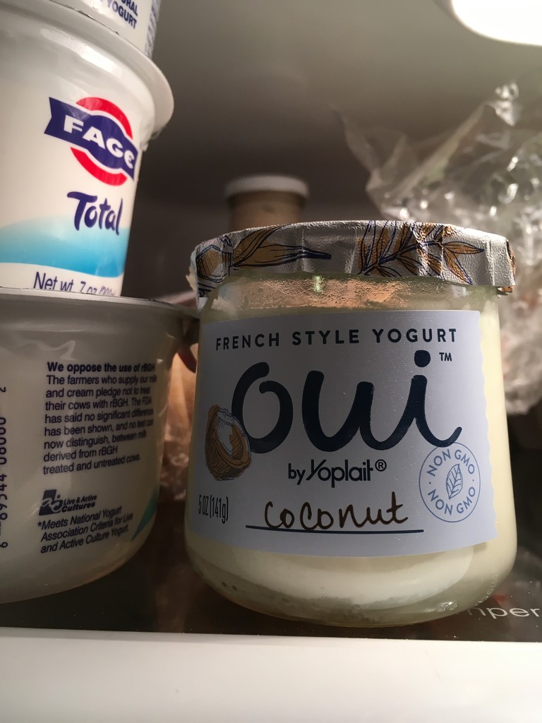 some ridiculously expensive yogurt  by wiesnerbeth