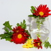 Flower in a jar by jayberg