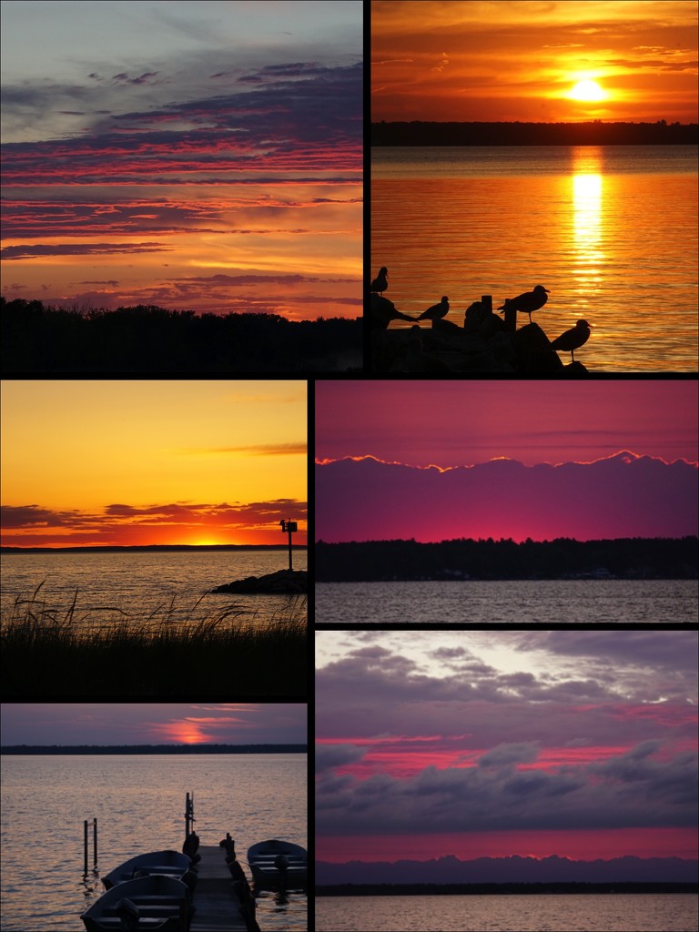Sunset collage by amyk
