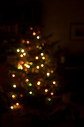 7th Jan 2018 - Goodnight Christmas Tree
