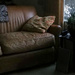 Sofa in grey light by houser934
