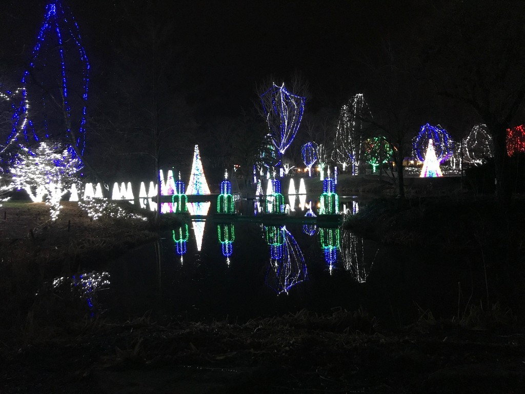 wild Lights at Columbus Zoo by kdrinkie