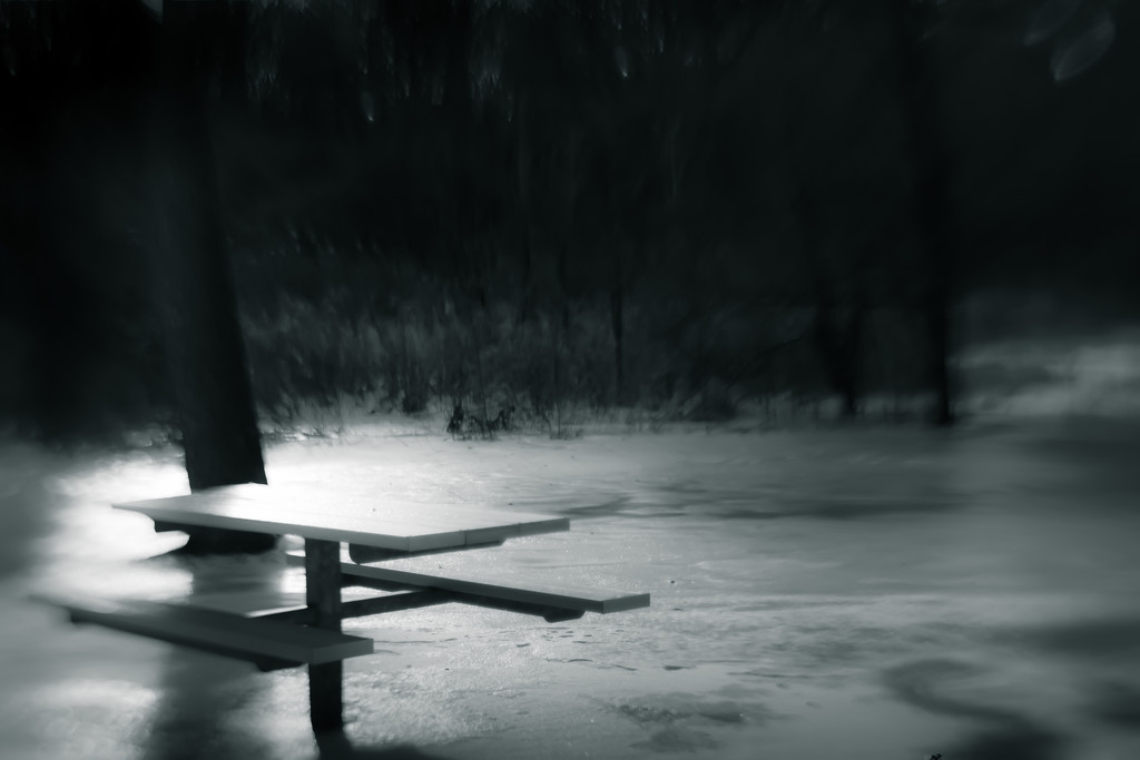 lensbaby picnic table by northy