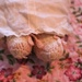 pink booties by edorreandresen